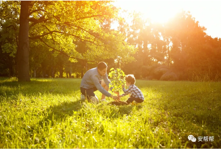 1607568713136833.png 圖片.png