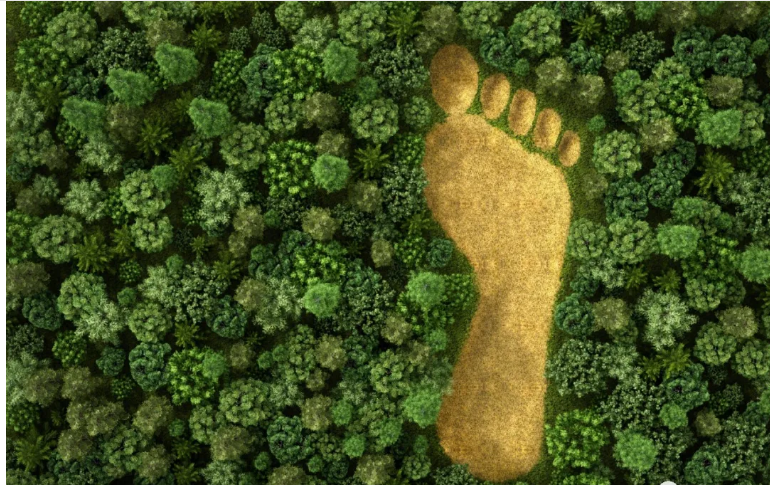 1607568744890100.png 圖片.png