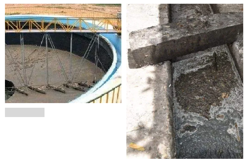 1609729601477332.png 圖片.png